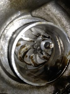 turbo_dead