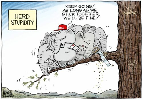 herd_stupidity herd_stupidity